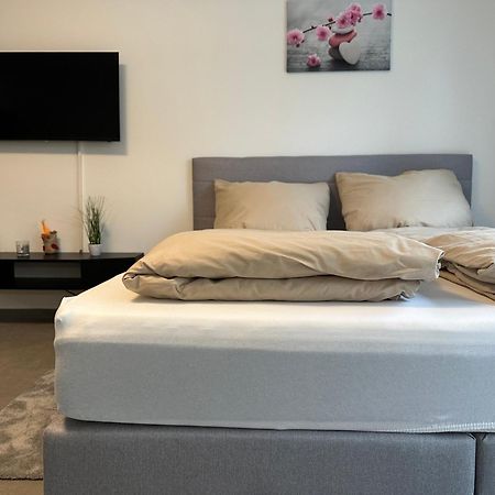 Modernes Apartment In Guter Lage Ingolstadt Buitenkant foto